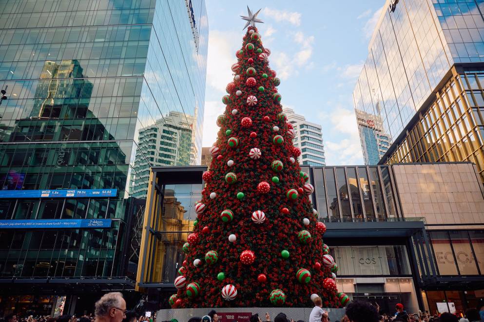 Christmas Tree (Image Credits: Sacha Stejko)