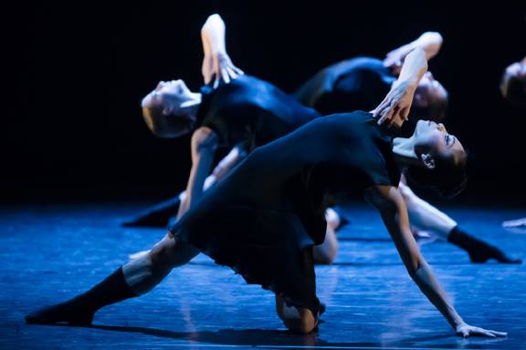 Stand to Reason Royal New Zealand Ballet