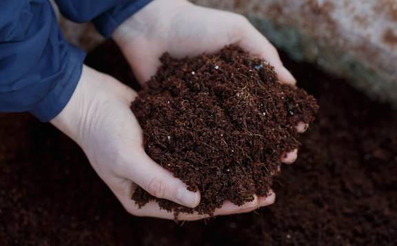 compost collective
