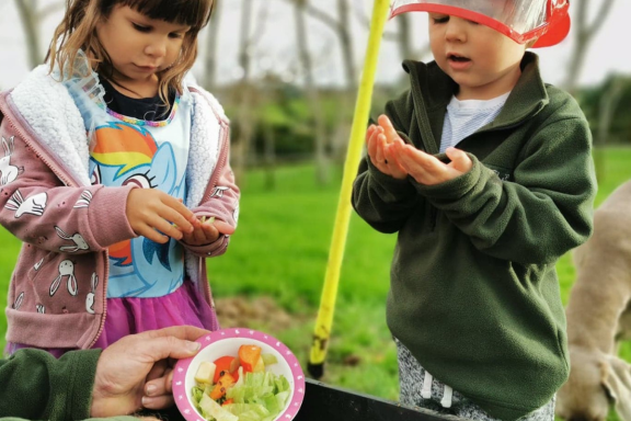 Compost Collective