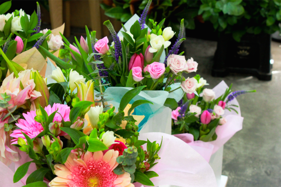 Roma Blooms