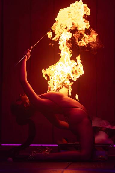 Dangerous Goods by Jade Ellis