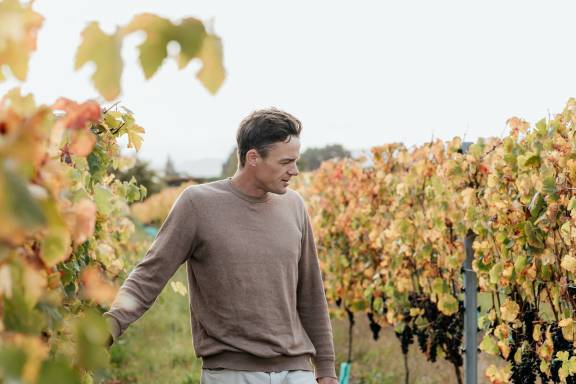 Marie Zelie 2020 Pinot Noir Release Event at Somm